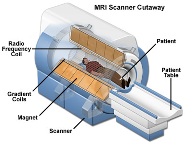 MRI System Diagram - http://www.magnet.fsu.edu/education/tutorials/magnetacademy/mri/