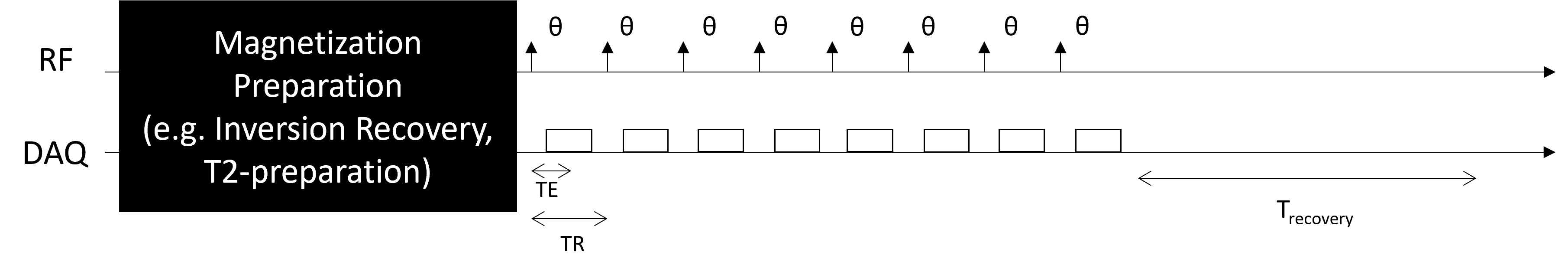 Magnetization Prepared Fast Gradient-echo Pulse Sequence
