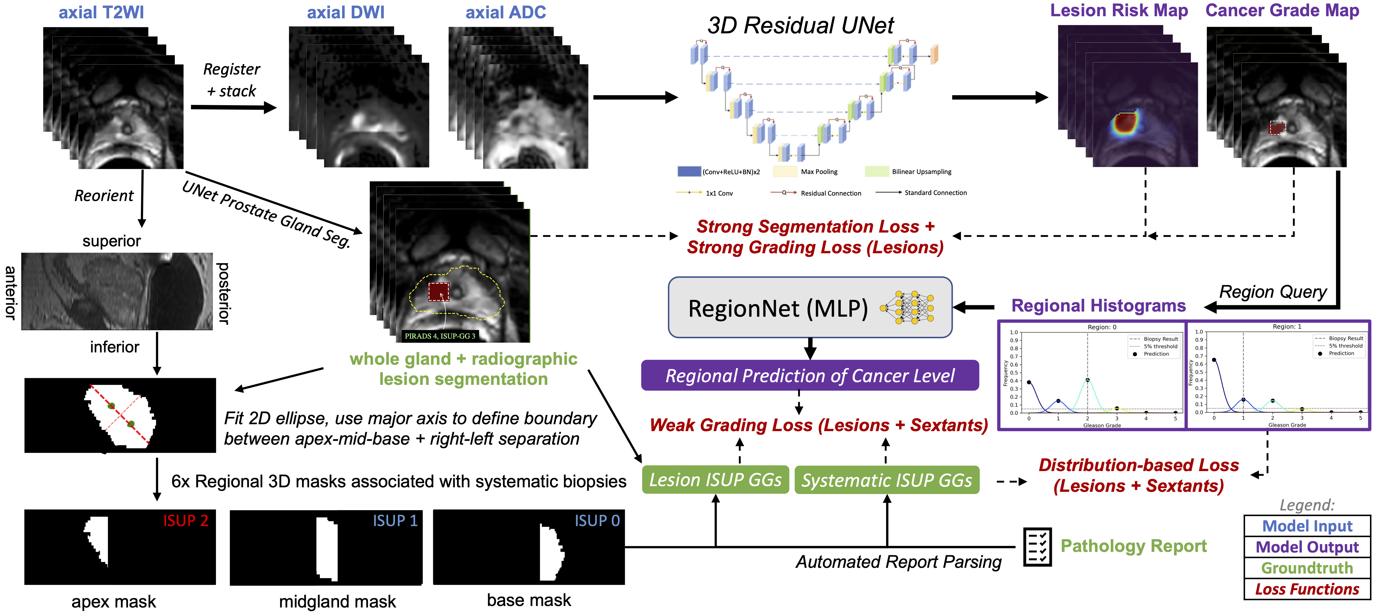 Mixed Supervision Approach for classification of clinically significant prostate cancer